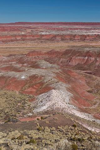 65 petrified forest, painted desert.jpg